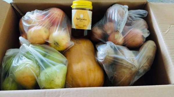 Caja con una provision de frutas, verduras y productos regionales