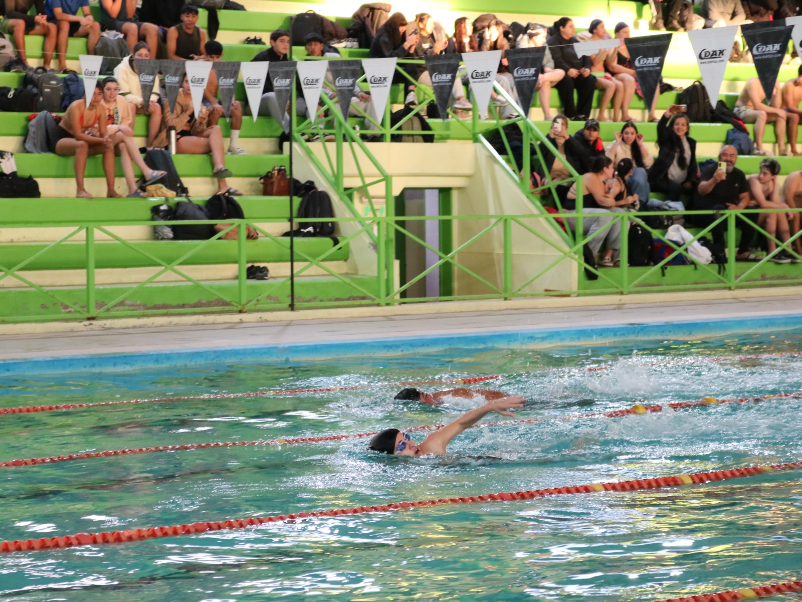 Propuesta de natación escolar